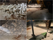 اللد: البدء بهدم قاعة رويال بالاس تجنباً لدفع غرامات مالية 